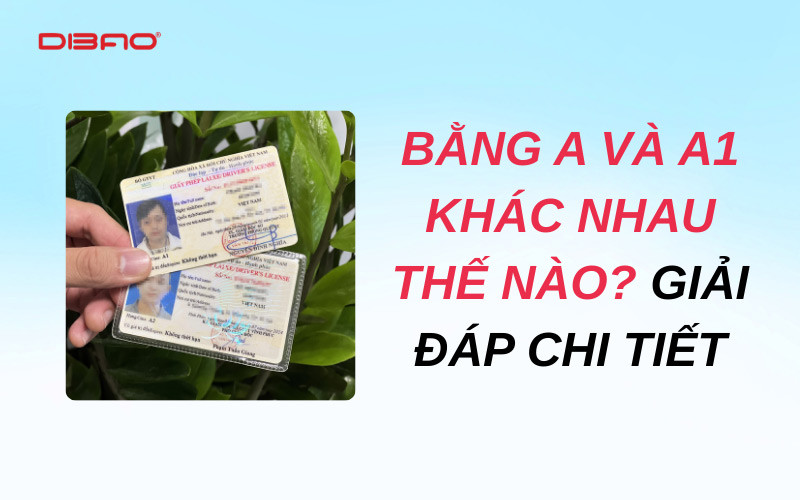 Bằng A và A1 khác nhau thế nào? Giải đáp chi tiết 2026